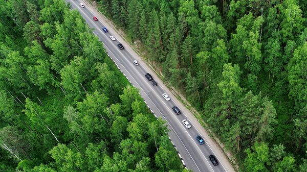 "Автодор" разработал собственный ИИ для проектирования дорог