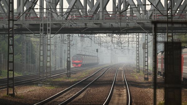 Сервис посадки в поезд по биометрии заработал в России в пилотном режиме