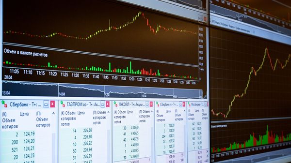 Экономист объяснила, когда вредна диверсификация портфеля