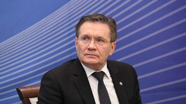 Лихачев: "Росатом" дистанционно поддерживает строительство на АЭС "Бушер"