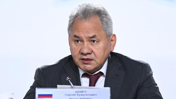 Шойгу назвал шантажом сокращение Молдавией поставок газа в Приднестровье