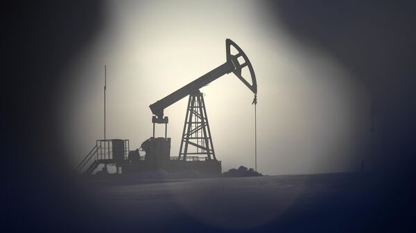 МЭР ожидает незначительного снижения добычи нефти с конденсатом в этом году